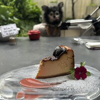 THE CARNE tokyo - 