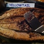 Muisbosskerm - Yellowtail
