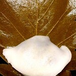 黒松本舗 草月 - 