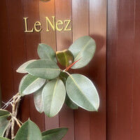 Le Nez - 