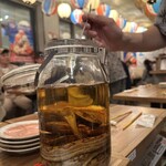 沖縄酒場じゅにまーる 横浜ドリームランド店 - ハブ酒