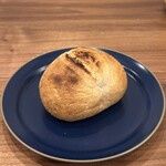 スギノキ - 