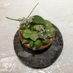 ル スプートニク - 2025/5/10