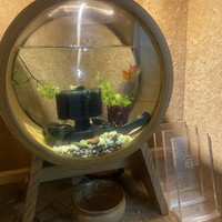 お料理 とみやま - 