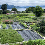 ハーバルランチ - 