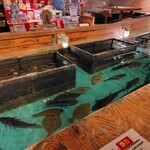 釣船茶屋ざうお - 店内生け簀