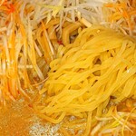 はこだて屋台ラーメン松島店 - ねぎ味噌らーめん