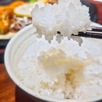 君のハンバーグを食べたい - 