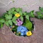 パティスリー タンドレス - 