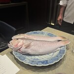 ア・ニュ Shohei Shimono - 