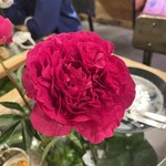 青山フラワーマーケット ティーハウス - 卓上芍薬