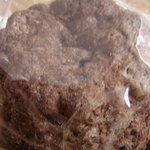 焼き菓子 ルルー - スコーン（ココア）