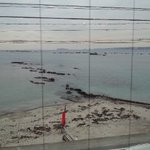 窓際カウンターから見える景色・・江ノ島が見えます。