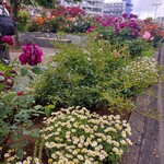 ビストロ ル ブルジョン - お店の前には花がいっぱい