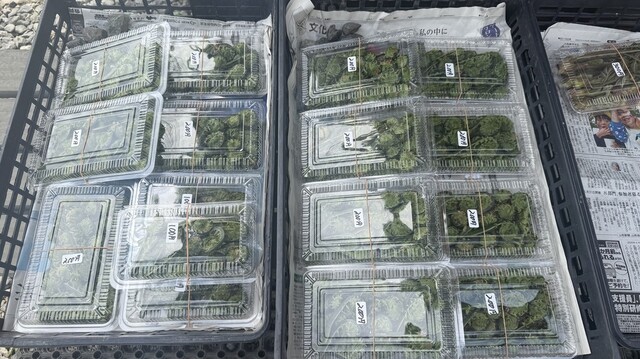 川井食堂 - 米沢（ラーメン）の写真