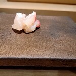 島津 - 鯛（天草）