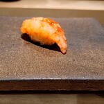 島津 - シマエビ