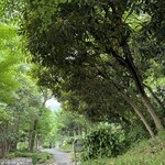 MORETHAN BAKERY - お店の前の信号を渡ると新宿セントラル公園