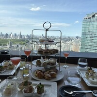 タワーズバー ベロビスト - 