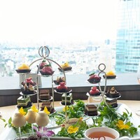 タワーズバー ベロビスト - 