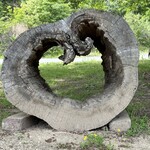 スープカレーなっぱ - 