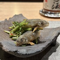 新富町 湯浅 - 