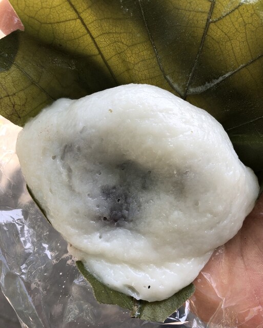 Tachibana Ya photo 3