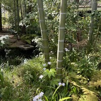 草門去来荘 東村山店 - 