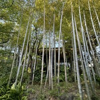 草門去来荘 東村山店 - 