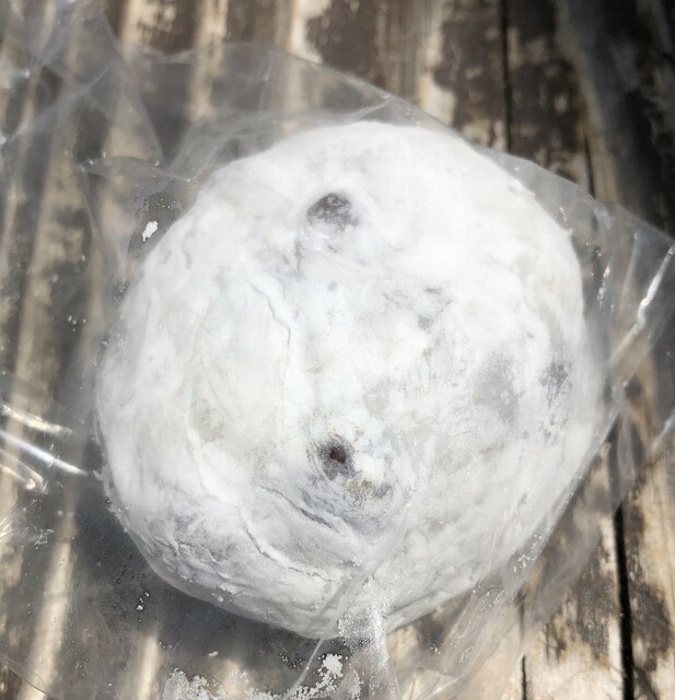 Tachibana Ya photo 4