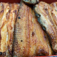 鰻 若松 - 