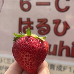 姫路ハートフル観光農園 - 