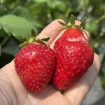 姫路ハートフル観光農園 - 