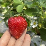 姫路ハートフル観光農園 - 