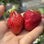 姫路ハートフル観光農園 - 