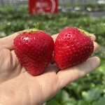 姫路ハートフル観光農園 - 