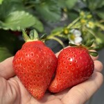 姫路ハートフル観光農園 - 