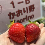 姫路ハートフル観光農園 - 