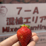 姫路ハートフル観光農園 - 