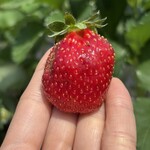 姫路ハートフル観光農園 - 