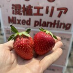 姫路ハートフル観光農園 - 