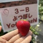 姫路ハートフル観光農園 - 