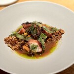 マンサルヴァ - 真蛸・インツィミーノ・レタス。
      インツィミーノは、イカと青菜を煮込むトスカーナの郷土料理だそう。
      シェフのオリジナルで入れたタコが、未体験の柔らかさ。
      こういう田舎料理がコースに入るのも嬉しい。