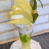 Fruit Parfaiteria Kaju
