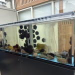 うに むらかみ - 