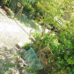 カフェ・ドリ - 