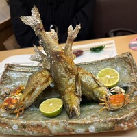 季節料理 姿 - 