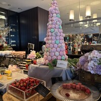 XEX TOKYO / Salvatore Cuomo Bros. - 