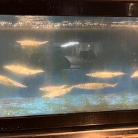 日本料理てら岡 中洲本店 - 