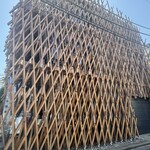 サニーヒルズ - 